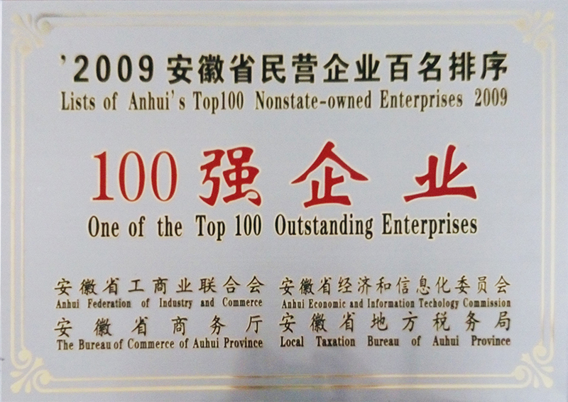 安徽省民營企業(yè)100... 